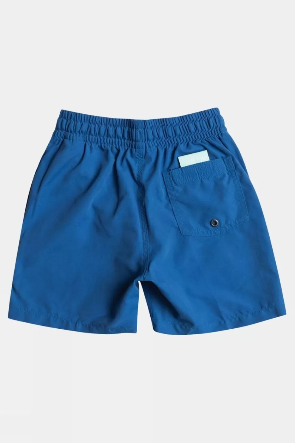 Quiksilver Kids Everyday Volley 13" Swim Shorts<Kids Swimwear